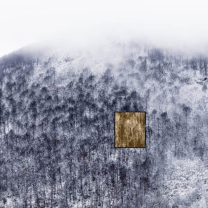 Photographs in the forest of the Melogno Pass for the INTIMUS project. Photograph by Jacques Pion / Hans Lucas.Photographies dans la forêt du col du Melogno pour le projet INTIMUS. Photographie de Jacques Pion / Hans Lucas.