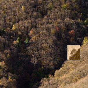 Photographs in the forest of the Melogno Pass for the INTIMUS project. Photograph by Jacques Pion / Hans Lucas.Photographies dans la forêt du col du Melogno pour le projet INTIMUS. Photographie de Jacques Pion / Hans Lucas.